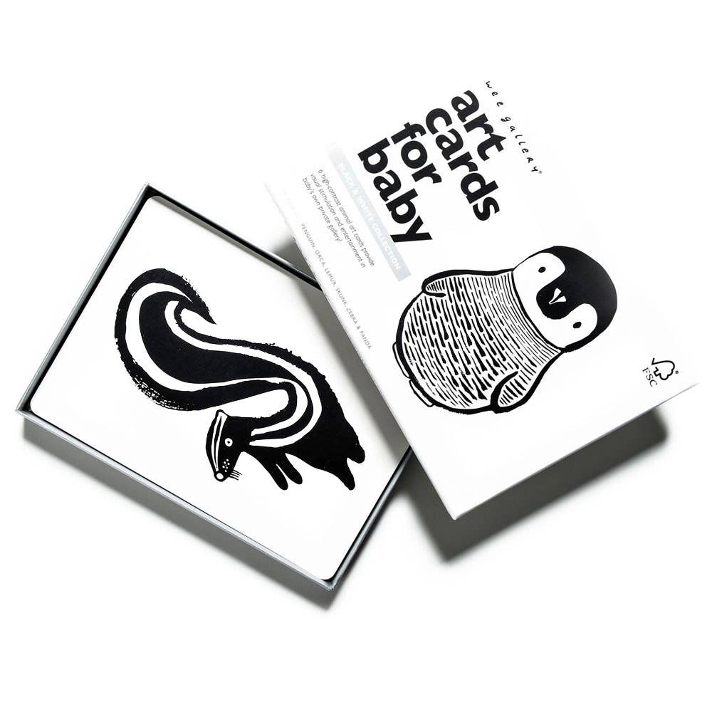 Black & White Art Cards for Baby