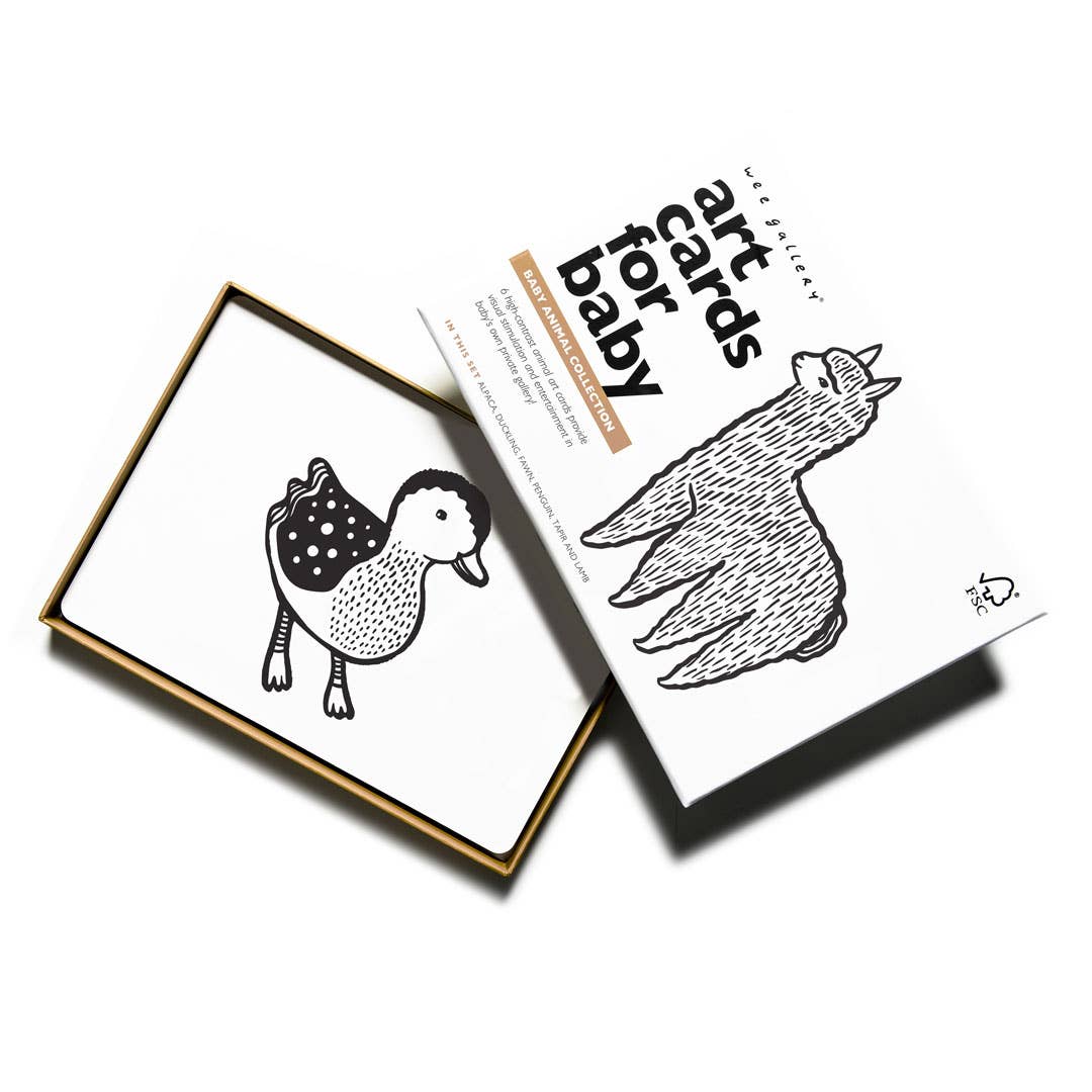 Black & White Art Cards for Baby