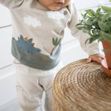 Organic Cotton Dino Applique Baby Sweater