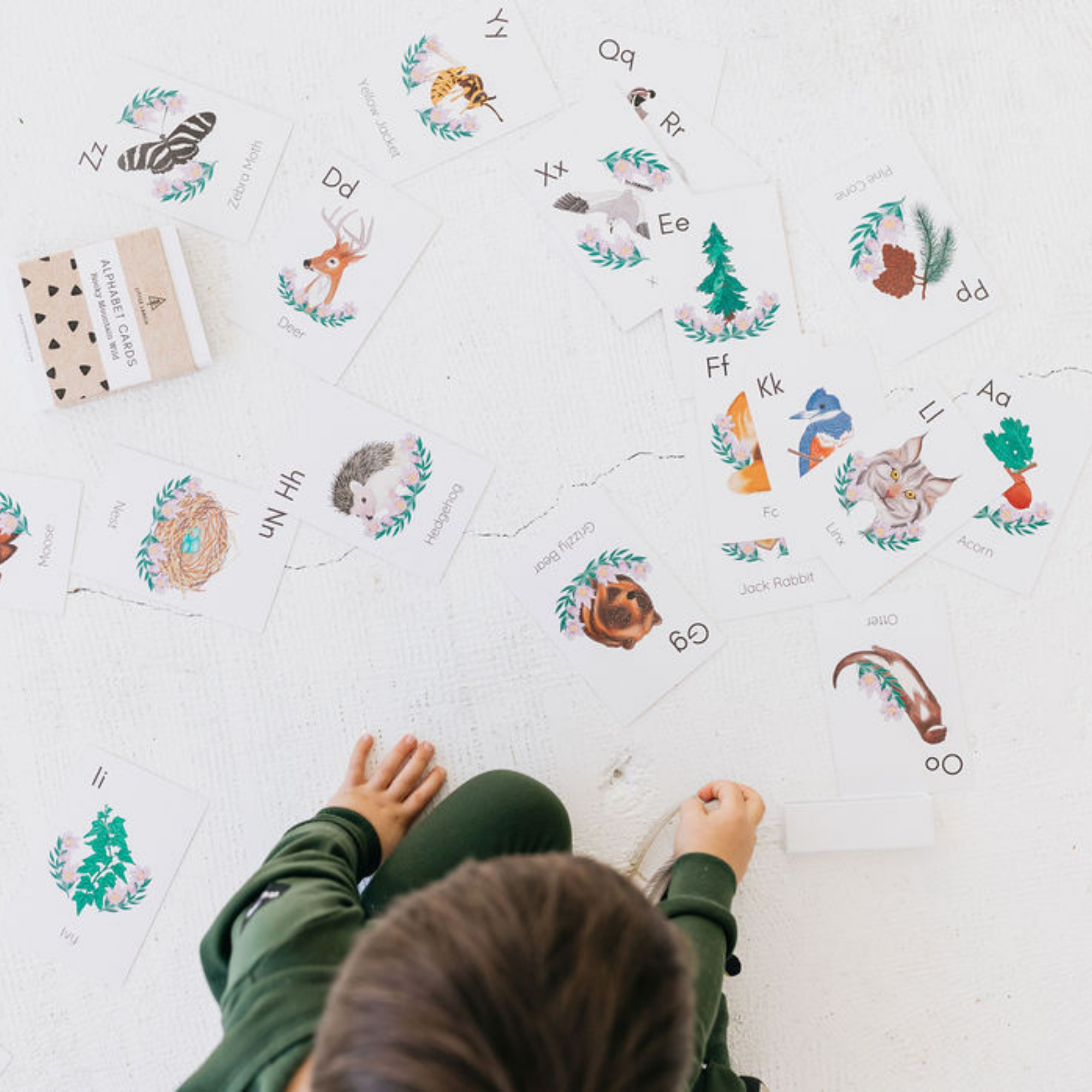 Alphabet Rky Little Larch - Rocky Mountain Wild Alphabet Flash Cards - Ages18M ...