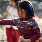 Organic Owl Fair Isle Knitted Jumper