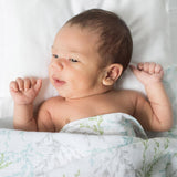 Organic Muslin Swaddle Blanket
