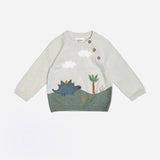 Organic Cotton Dino Applique Baby Sweater